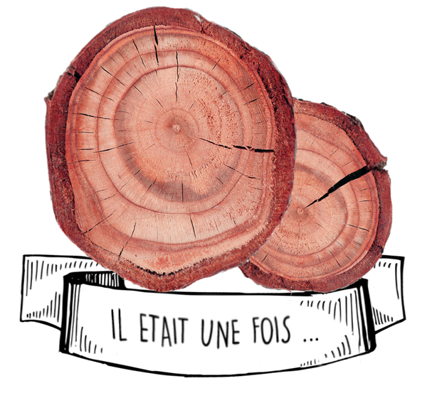 Olyaris - Huile Essentielle de Bois de Rose : Tout savoir